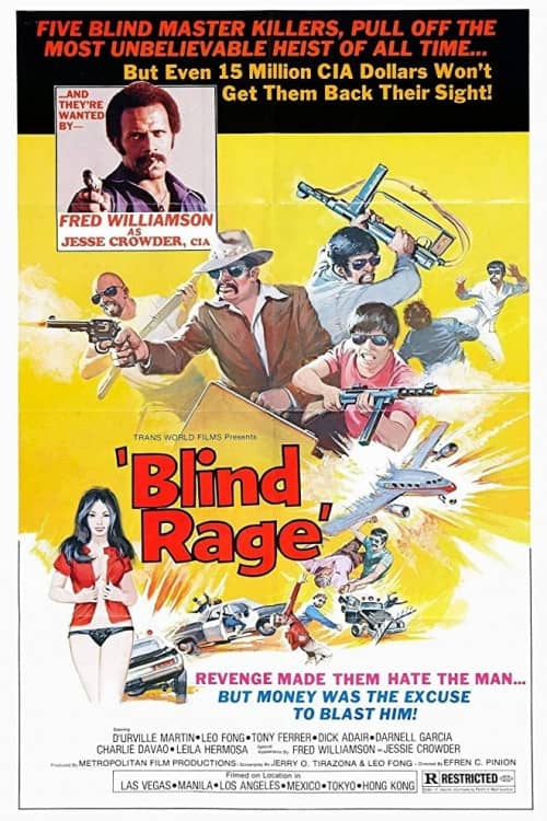 blind fury movie download