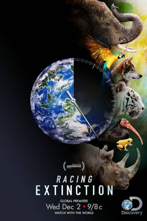 Rat Race Full Movie Torrent Download